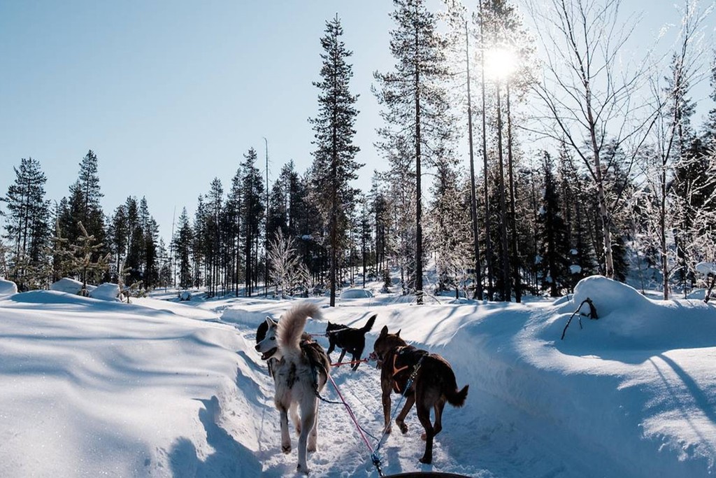 Quelle est la meilleure saison pour se rendre en Finlande